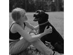 Tallahassee Pet Sitter: Safe and Caring Pet Care for Only $75/Day