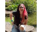 Fort Wayne, Indiana Pet Sitter - $7.25/hr - Caring & Trustworthy - Pet Owners