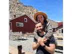 We love animals and my partner and I work from home! We would love to babysit