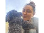 Professional Pet Sitter in Princeton, FL $25/hr 20+ Years Experience