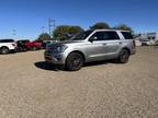 2021 Ford Expedition