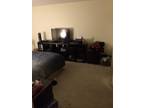 Early May-Aug 1br/1bath Sublet Near Bu