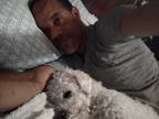 Looking for a room to rent