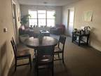 Roommate needed for sublet