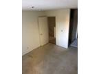 1 room with attached bathroom 700sqft