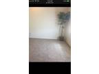One room for rent