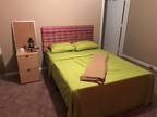 Room 4 Rent/Female/College Student or Young Professional