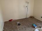 I have a room for rent in an apartment!!!
