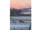 Beautiful Horse Farm Studio and Space for one Horse