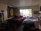 Sdsu Double Room Housing