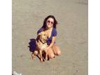 Single female w/ dog looking to rent a room starting in January!!