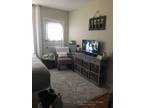 HUGE, Oversized Studio In Coolidge Corner