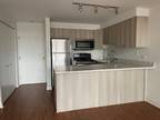 925 Green Bay Rd - 1 bedroom 1 bathroom