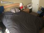 One Bedroom In Seminole (Altamonte)