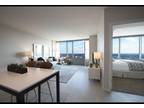 Oak Park's Newest Luxury Full Amenities Buildin...