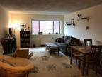 Spacious 1-bed In Great Building - Walk To Cool...