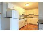 New Reno - Good Sized And RIGHT SMACK ON THE TR...