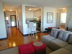 Large 1 Bedroom Close To Longwood And Downtown ...