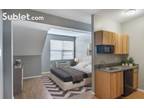 One Bedroom In Riley (Manhattan)