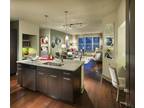 Domain College Park #Two Bedroom B2C: College P...