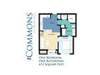 The Commons at Drum Hill - One Bedroom Renovated