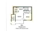 Aspen Pines Apartment Homes - Alta