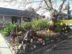 50 La Cruz Ave, Benicia, CA 94510