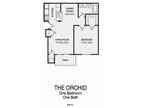 Willow Creek - Orchid