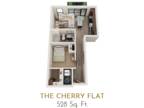 The Levinson - The Cherry