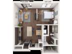 MAA Eastside - Studio 0x1 503-707 SF