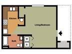 Mountain View Apartment Homes - Studio