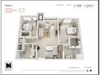 MarketStreet Apartments - Wilkes
