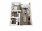 Thrive Luxury Apartments - Paxton