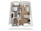 Amberlin Wiregrass Ranch 55+ Active Adult - A1 - Amber