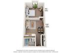 Della Plaza - One Bedroom
