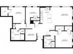The Cove - C5