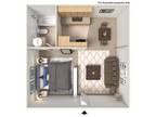 Softwind Point - Studio