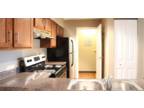 Bent Tree Apartments - The Villa