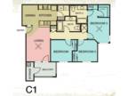 La Palmilla Apartments - C1