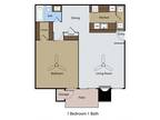 Dove Park Apartments - 1 BR 1 BA