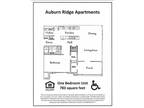 Auburn Ridge - 1BR/1Bath