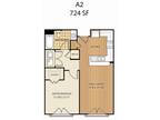 Regency at Johns Creek - A2