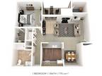 Summerlin at Concord Apartment Homes - One Bedroom