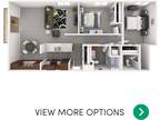 Delta Arms Apartments - 2 Bed 2 Bath W/D for 3 people (rate per person)