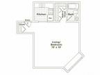 Oak Park City Apartments - Studio / 1ba
