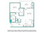 Kapolei Lofts - Allamanda