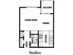 The Modern Cactus - Studio