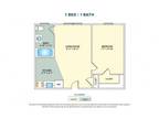 Geraldine Street Apartments - 1 Bedroom
