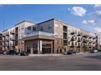 Iron City Lofts - 1 Bedroom Waitlist