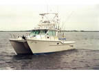 1999 Baha Cruisers 340 King Cat